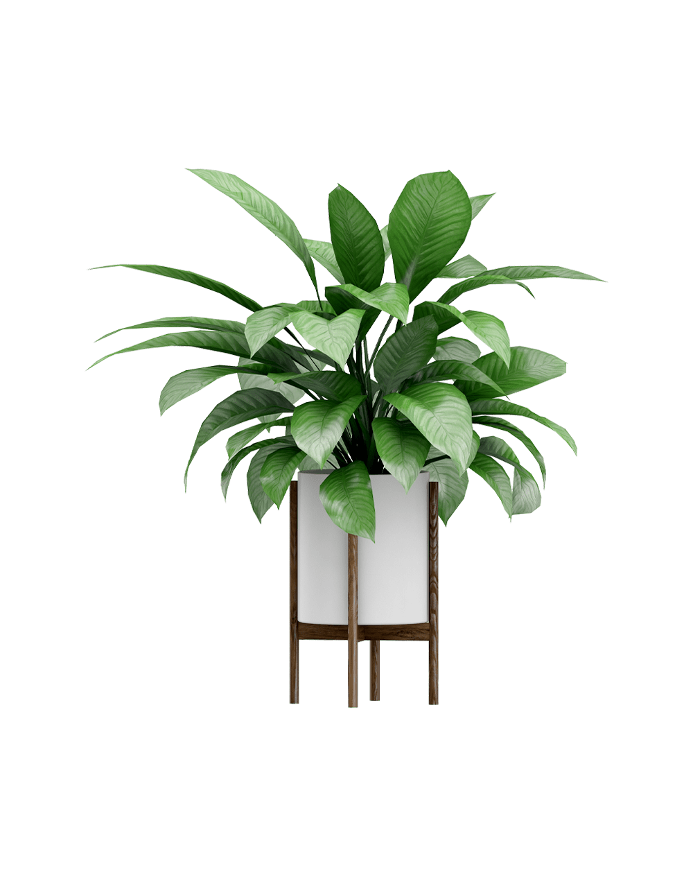 Vassunda planter
