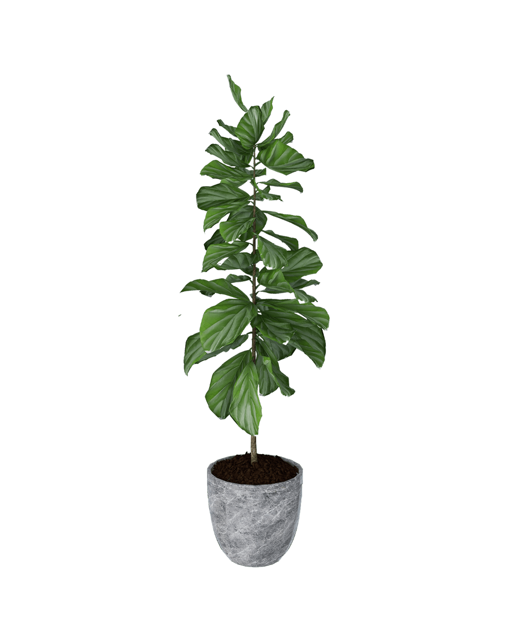 Viksberg planter